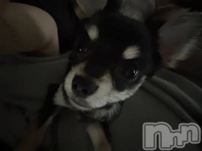 長岡デリヘル ROOKIE(ルーキー) るあ☆プラチナ(19)の6月18日写メブログ「7日間ありがとうございました⭐️」