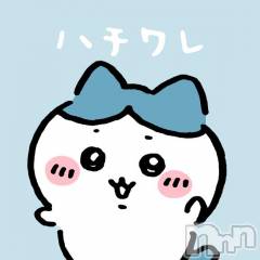長岡デリヘル純・無垢(ジュンムク) ゆい(19)の9月28日写メブログ「明日も‼️」