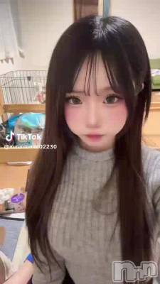 2��6�� 04��32ʬ��ư��