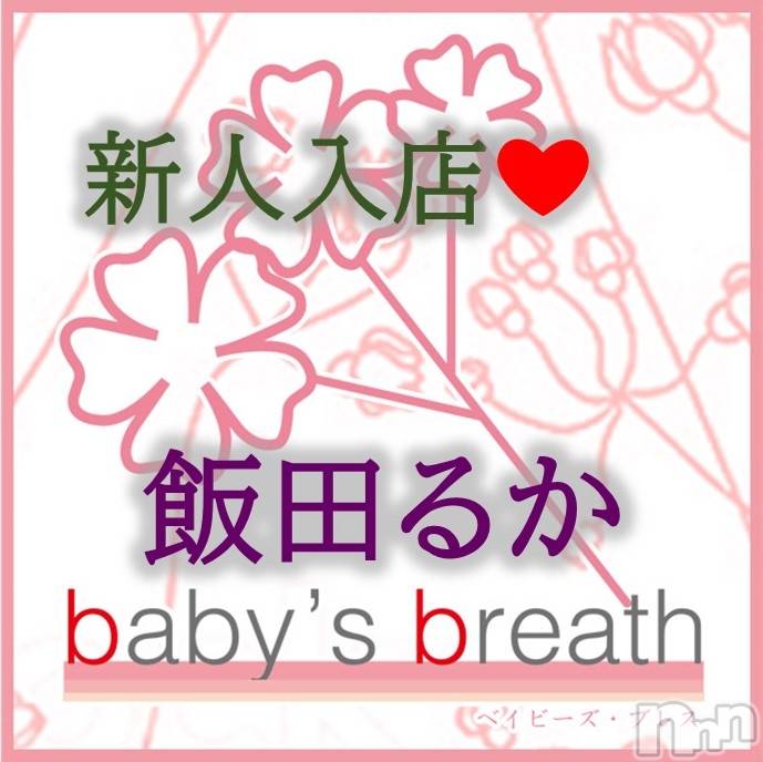 㡦ȯĥꥢ󥺥baby's breath(٥ӡ ֥쥹) Ĥ뤫1115̥֥֤ꤤޤ