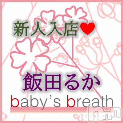 㡦ȯĥꥢ󥺥baby's breath(٥ӡ ֥쥹) Ĥ뤫1115̥֥֤ꤤޤ