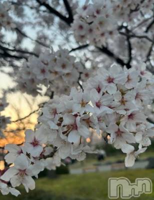 新潟デリヘル 新潟デリヘル倶楽部(ニイガタデリヘルクラブ) るる(21)の3月5日写メブログ「楽しみ🌸」