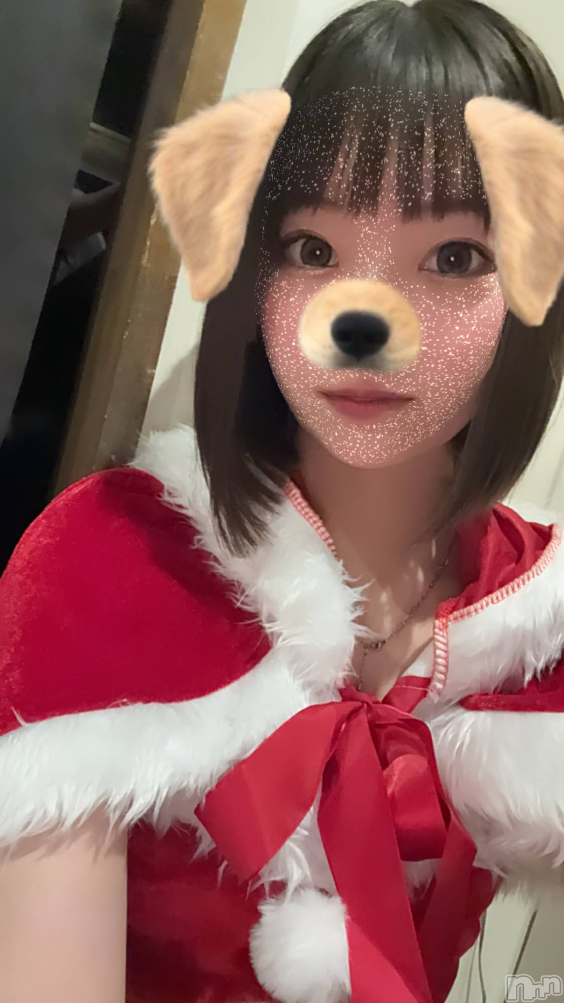 ʥå륺СJEUNESSE(ͥ) 2024ǯ1221̥֥֥ꥹޥ🎅🏻🎀