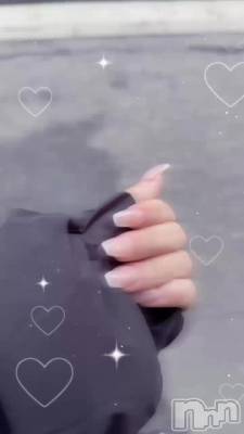 ˤ塼ͤ롪