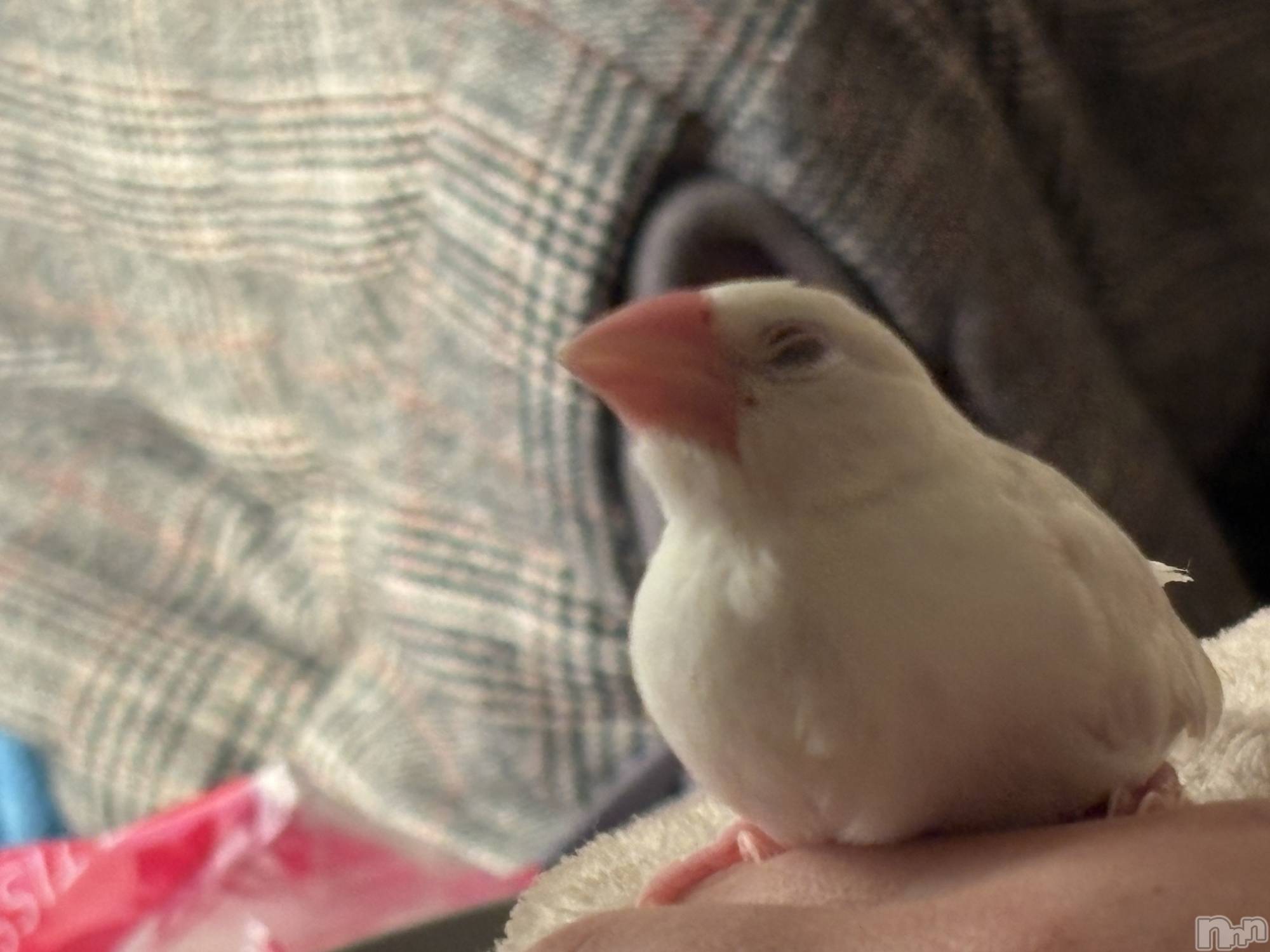 ����������ʥå��������륺�С����饪���ϥ��ܡ���bar���ͻ���(���饪���ϥ��ܡ���С��ӥ��󥷥ޥ�) ��2025ǯ12��22���̥�֥�����20�����������