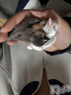 ʥå륺С饪ϥܡbarͻ(饪ϥܡСӥ󥷥ޥ) ޤ(22)118ֲ̥֥İǤ