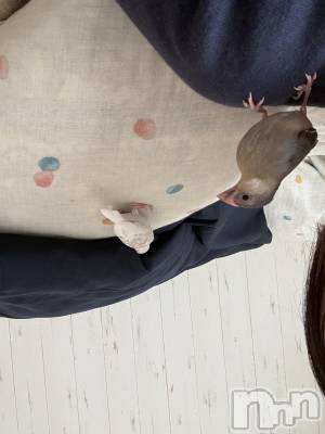 ����������ʥå��������륺�С����饪���ϥ��ܡ���bar���ͻ���(���饪���ϥ��ܡ���С��ӥ��󥷥ޥ�) ���ޤ�(22)��12��18���̥�֥����ֽжФ��Ƥޤ�⋆⸜🙆🏻‍��️⸝‍⋆��