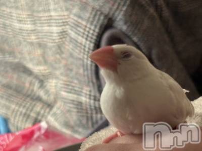 ����������ʥå��������륺�С����饪���ϥ��ܡ���bar���ͻ���(���饪���ϥ��ܡ���С��ӥ��󥷥ޥ�) ���ޤ�(22)��12��22���̥�֥�����20�����������