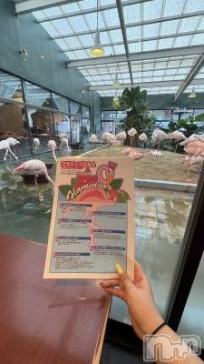 ����������ʥå��������륺�С����饪���ϥ��ܡ���bar���ͻ���(���饪���ϥ��ܡ���С��ӥ��󥷥ޥ�) ���ޤ�(22)��7��28���̥�֥����֥�ҥ�🦩��