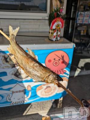 新潟人妻デリヘル 熟女の風俗 最終章(ジュクジョノフウゾクサイシュウショウ) さくら(44)の1月3日写メブログ「出勤予定」