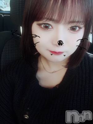 ꤵ(ҥߥ) Ĺ165cmȯѥ˥󥯥 㥳(˥)ҡ