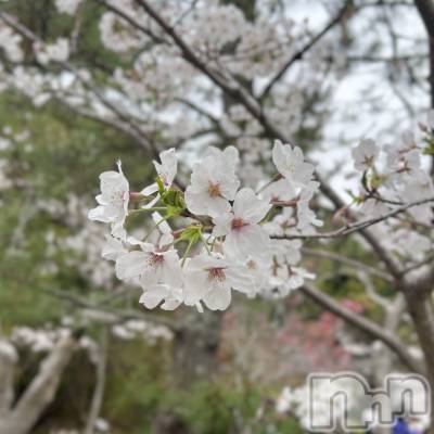 ĮХ顦CLUB MIMOSA(֥ߥ⥶) (20)48̥֥ѳ
