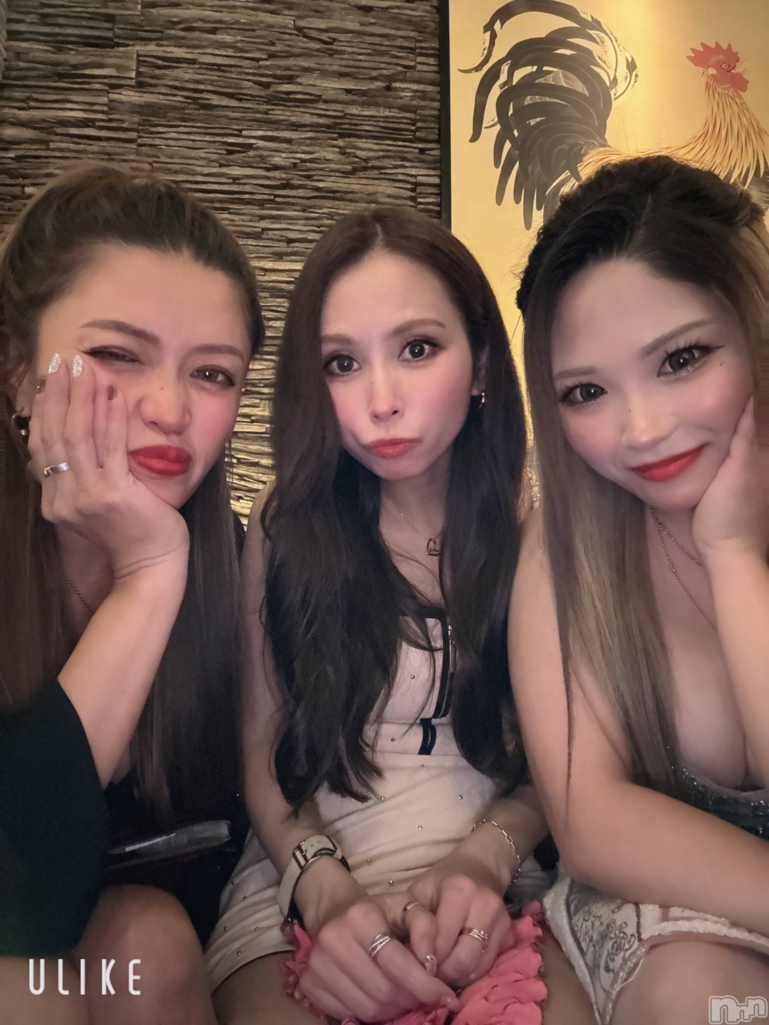 ܱХ顦K-LOUNGE(饦) 2025ǯ128̥֥50ܤΥ֥(v)/Ԏ