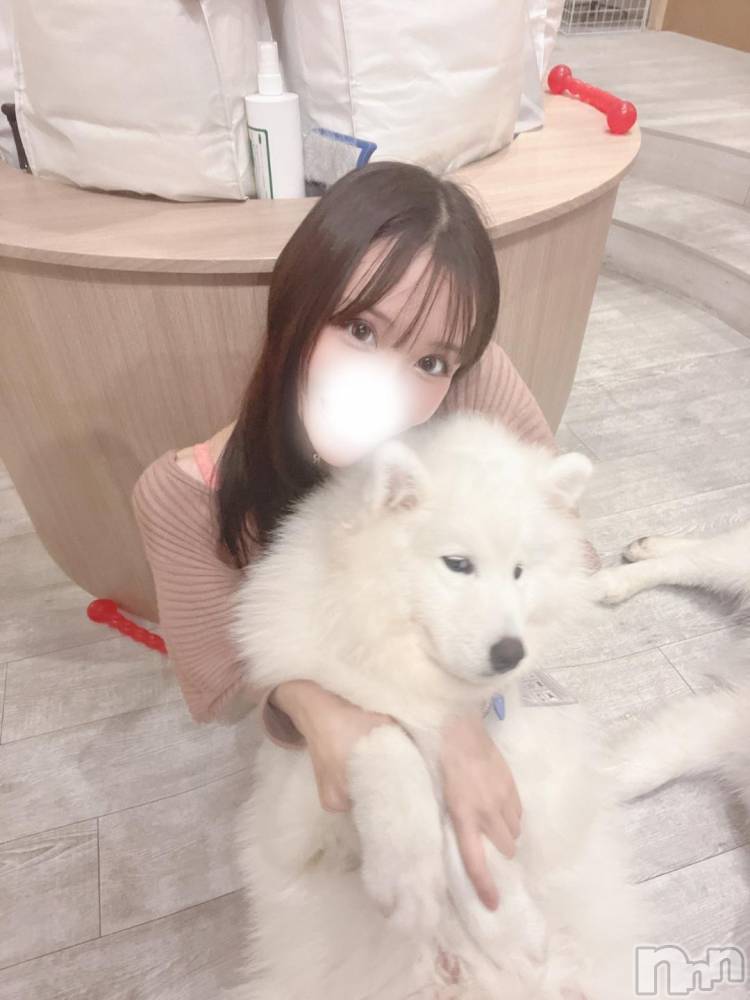 長岡デリヘルROOKIE(ルーキー) もも☆プラチナ(20)の11月22日写メブログ「❤️モモの自己紹介❤️」