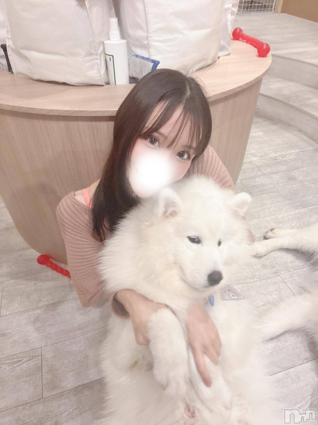 長岡デリヘルROOKIE(ルーキー)もも☆プラチナ(20)の2024年11月22日写メブログ「❤️モモの自己紹介❤️」