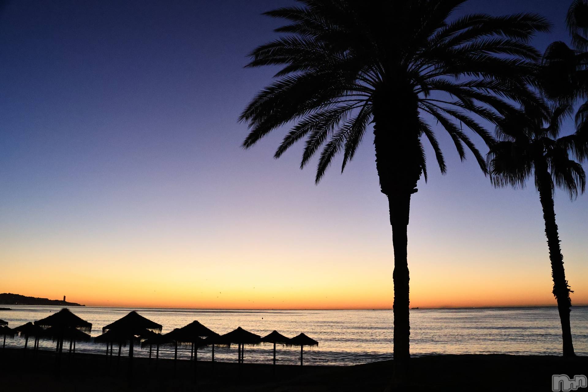 ナイトナビ中の人 酒乱Y