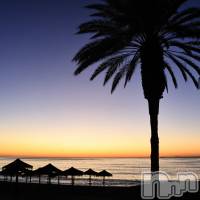 ナイトナビ中の人 酒乱Y