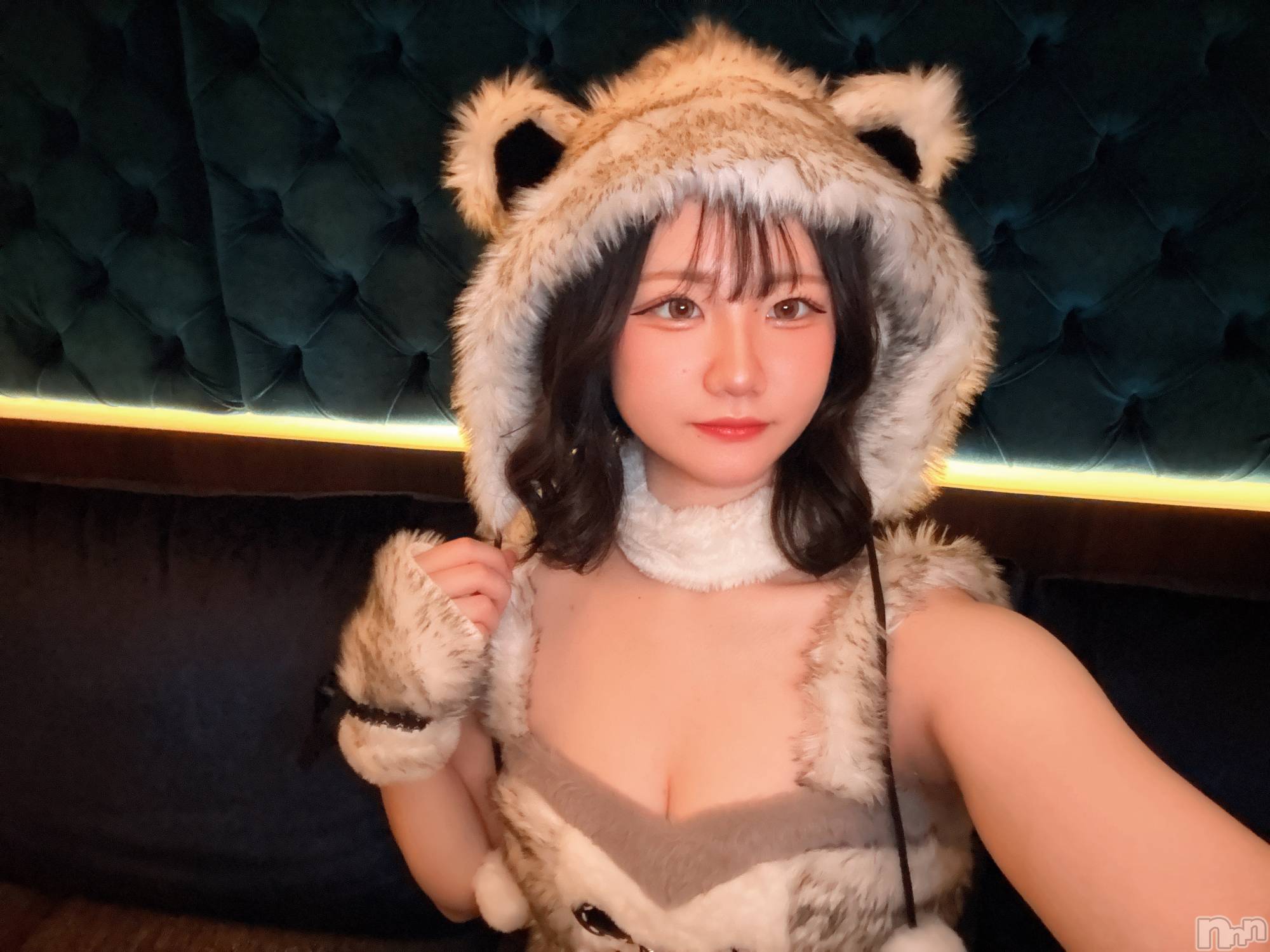 ƲХ顦ֲ֥ڲСݣȣΣ£ɡ(֥ϥʥ) 2025ǯ1125̥֥🐻ྀི