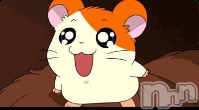 �Τ�(21) ��Ĺ�ҥߥġ���Ʋ����Х��顦����� ����ֲڲСݣȣ��Σ��£ɡ�(����֥ϥʥ�)���ҡ�