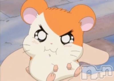 ��Ʋ�ˤ��륭��Х��顦����֥֡���ֲڲСݣȣ��Σ��£ɡ�(����֥ϥʥ�)�פΥ��㥹�ȡ֤Τ��פξҲ����