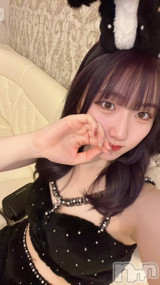 ʥå륺С󥻥ץȥե ˤޤ(󥻥ץȥե˥ޥ륭奦ǥ) 123̥֥123 1237ʬΥ֥