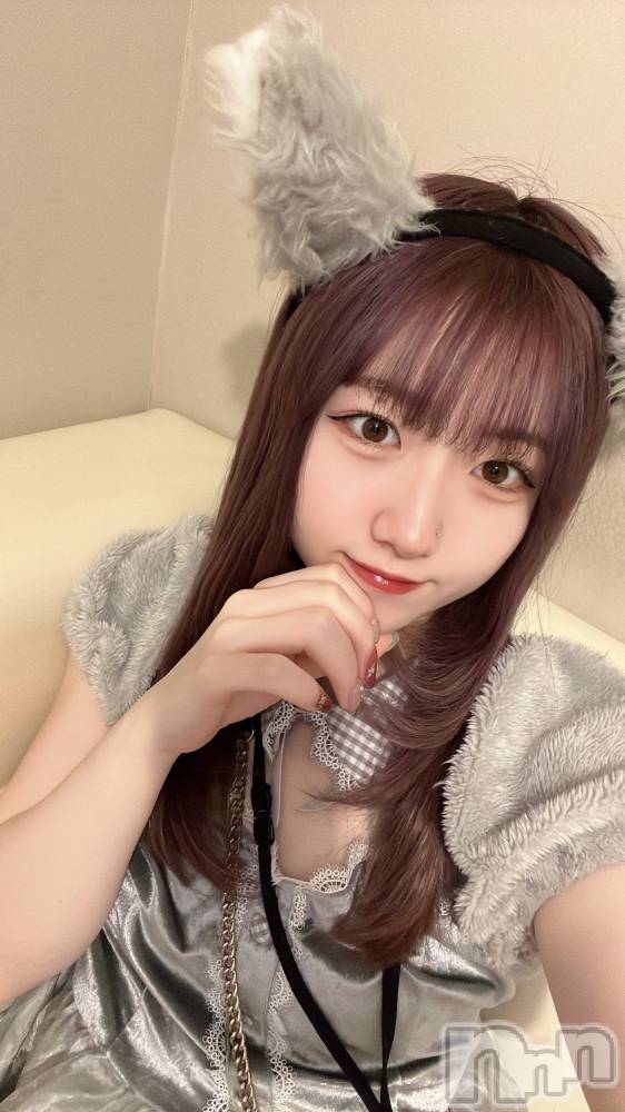 ʥå륺С󥻥ץȥե ˤޤ(󥻥ץȥե˥ޥ륭奦ǥ) 25̥֥25 1028ʬΥ֥