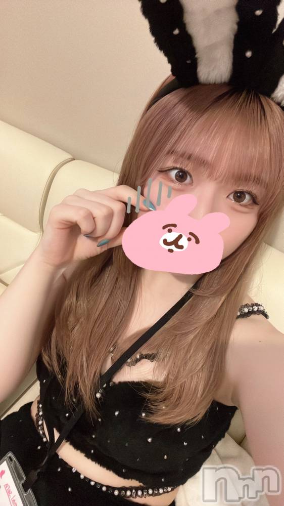ʥå륺С󥻥ץȥե ˤޤ(󥻥ץȥե˥ޥ륭奦ǥ) 35̥֥35 2208ʬΥ֥