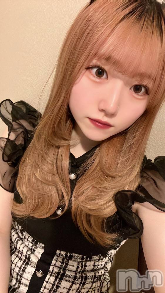 ʥå륺С󥻥ץȥե ˤޤ(󥻥ץȥե˥ޥ륭奦ǥ) 325̥֥325 2034ʬΥ֥