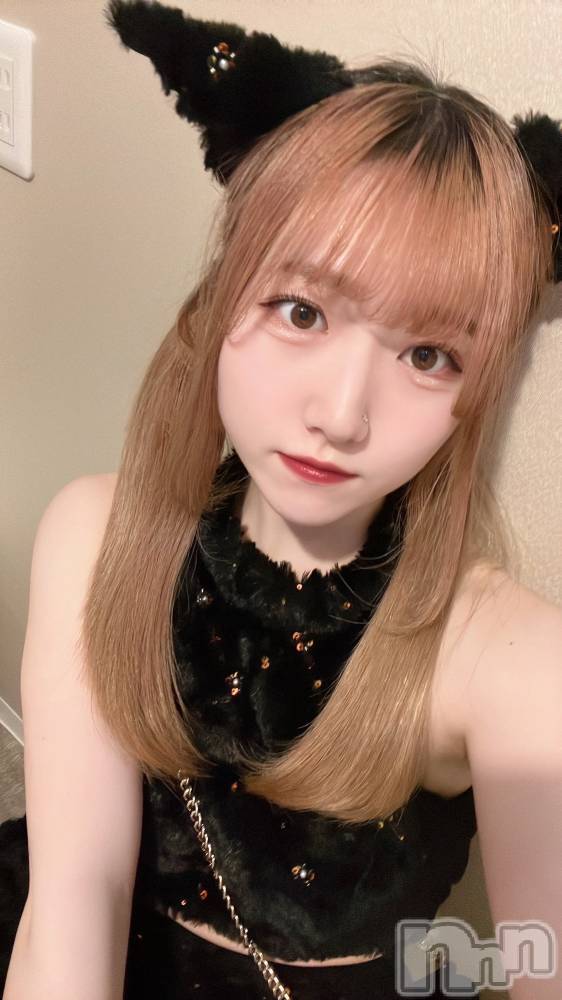 ʥå륺С󥻥ץȥե ˤޤ(󥻥ץȥե˥ޥ륭奦ǥ) 331̥֥331 2041ʬΥ֥