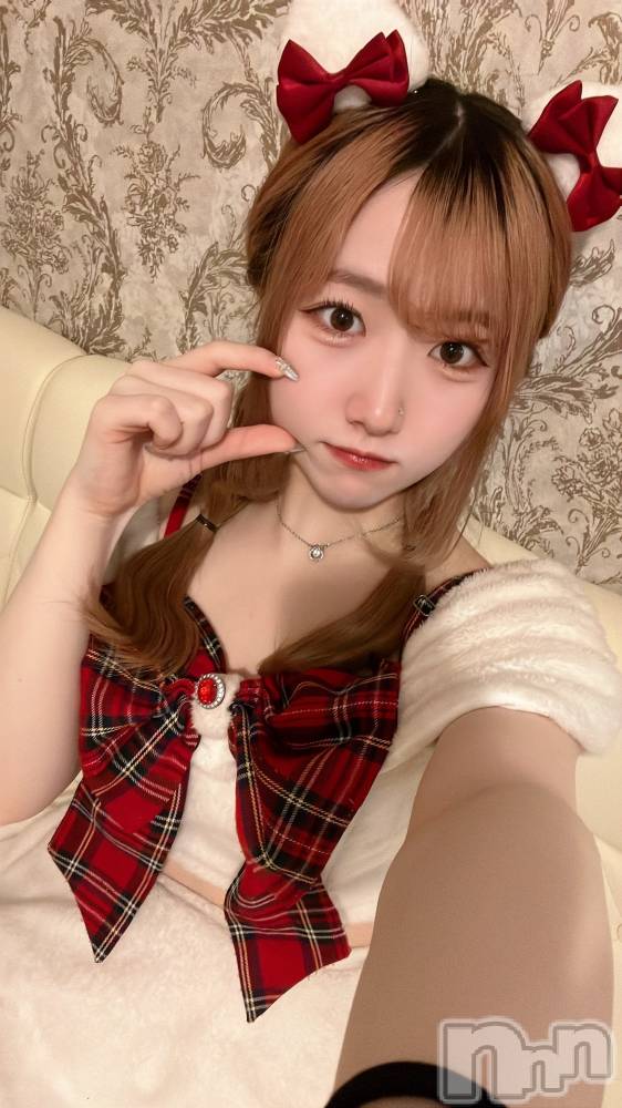 ʥå륺С󥻥ץȥե ˤޤ(󥻥ץȥե˥ޥ륭奦ǥ) 41̥֥41 2316ʬΥ֥
