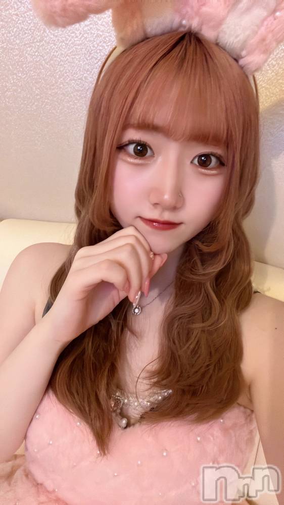 ʥå륺С󥻥ץȥե ˤޤ(󥻥ץȥե˥ޥ륭奦ǥ) 54̥֥54 0027ʬΥ֥