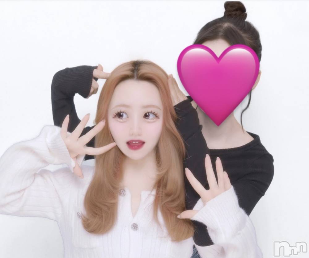 ʥå륺С󥻥ץȥե ˤޤ(󥻥ץȥե˥ޥ륭奦ǥ) 54̥֥54 2338ʬΥ֥