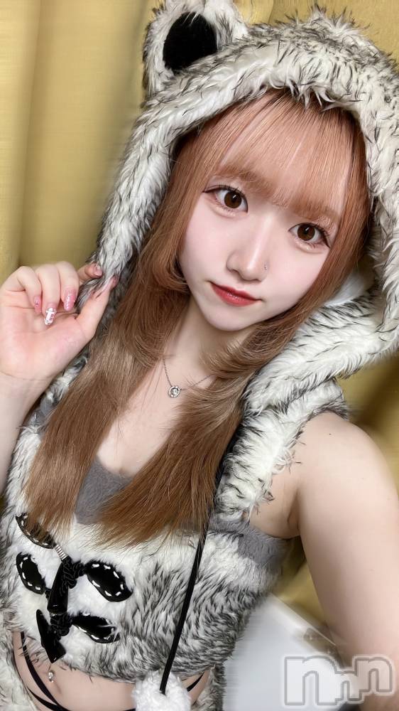 ʥå륺С󥻥ץȥե ˤޤ(󥻥ץȥե˥ޥ륭奦ǥ) 521̥֥521 2329ʬΥ֥