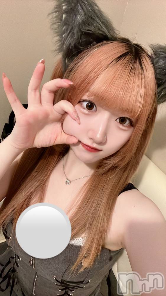 ʥå륺С󥻥ץȥե ˤޤ(󥻥ץȥե˥ޥ륭奦ǥ) 522̥֥522 1638ʬΥ֥