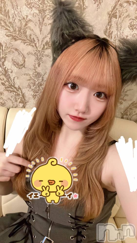 ʥå륺С󥻥ץȥե ˤޤ(󥻥ץȥե˥ޥ륭奦ǥ) 528̥֥528 1157ʬΥ֥