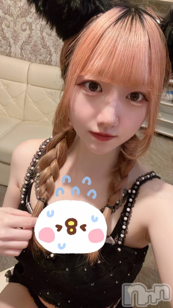 ʥå륺С󥻥ץȥե ˤޤ(󥻥ץȥե˥ޥ륭奦ǥ) 529̥֥529 2230ʬΥ֥
