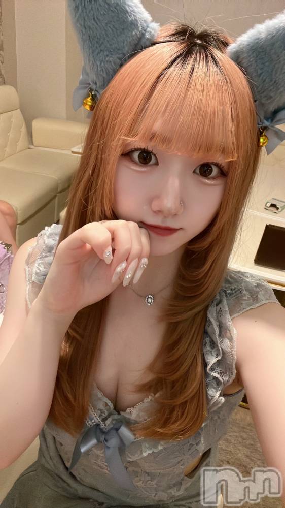 ʥå륺С󥻥ץȥե ˤޤ(󥻥ץȥե˥ޥ륭奦ǥ) 531̥֥531 2233ʬΥ֥