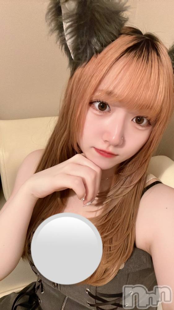 ʥå륺С󥻥ץȥե ˤޤ(󥻥ץȥե˥ޥ륭奦ǥ) 65̥֥65 2159ʬΥ֥
