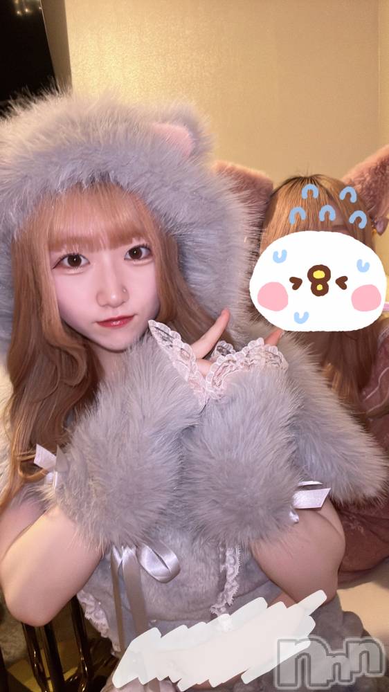 ʥå륺С󥻥ץȥե ˤޤ(󥻥ץȥե˥ޥ륭奦ǥ) 613̥֥613 1344ʬΥ֥