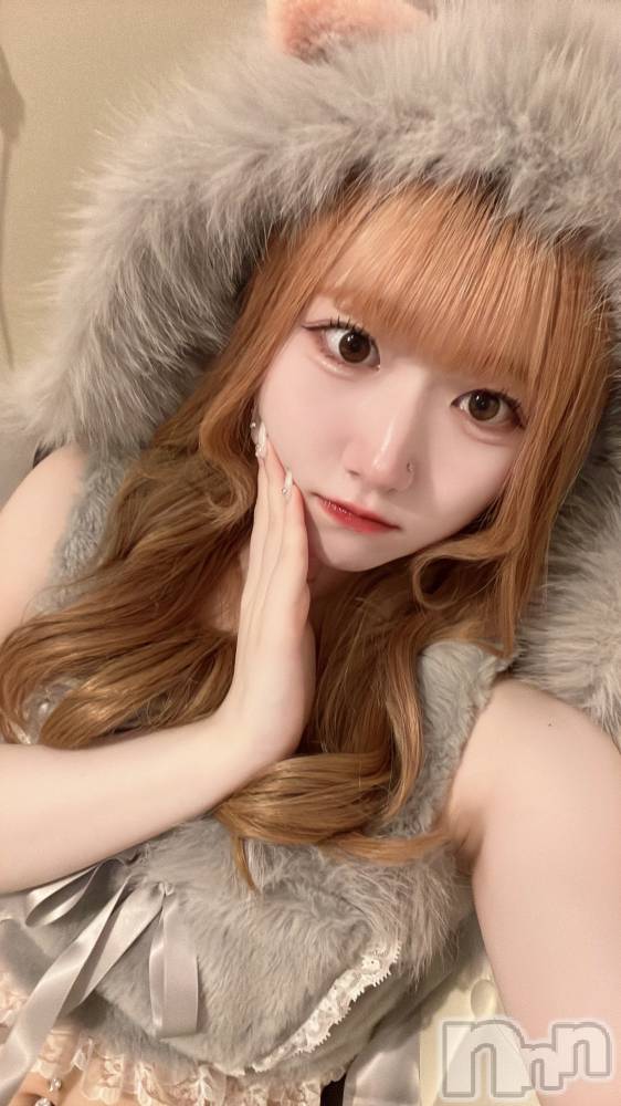 ʥå륺С󥻥ץȥե ˤޤ(󥻥ץȥե˥ޥ륭奦ǥ) 616̥֥616 0142ʬΥ֥