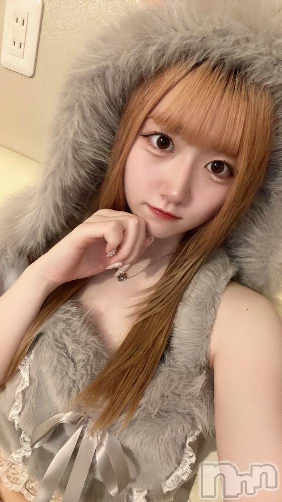 ʥå륺С󥻥ץȥե ˤޤ(󥻥ץȥե˥ޥ륭奦ǥ) 616̥֥616 0920ʬΥ֥