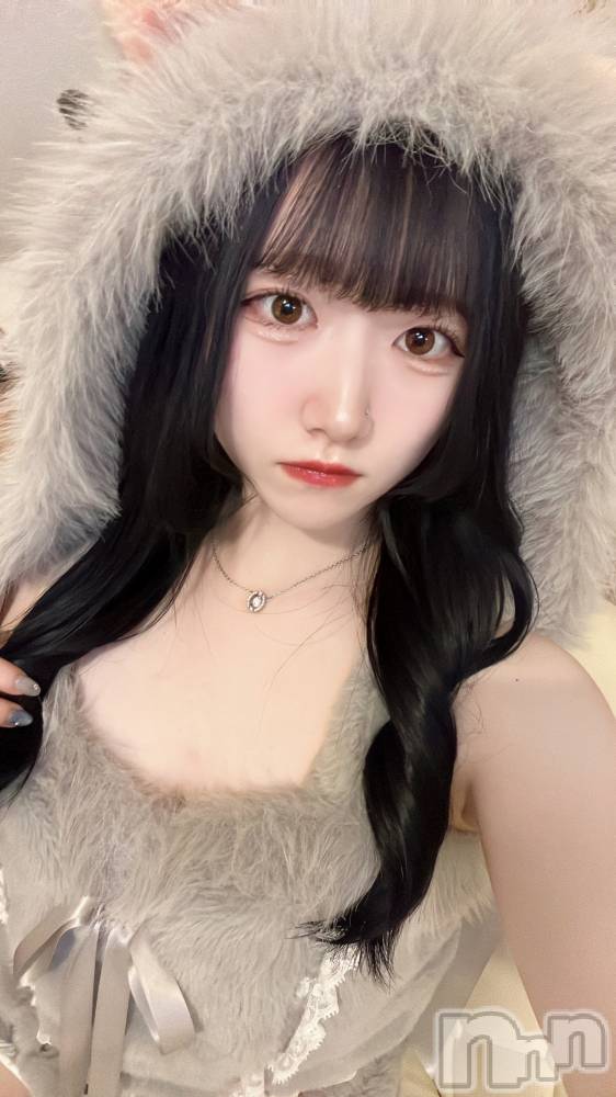 ʥå륺С󥻥ץȥե ˤޤ(󥻥ץȥե˥ޥ륭奦ǥ) 74̥֥74 2337ʬΥ֥