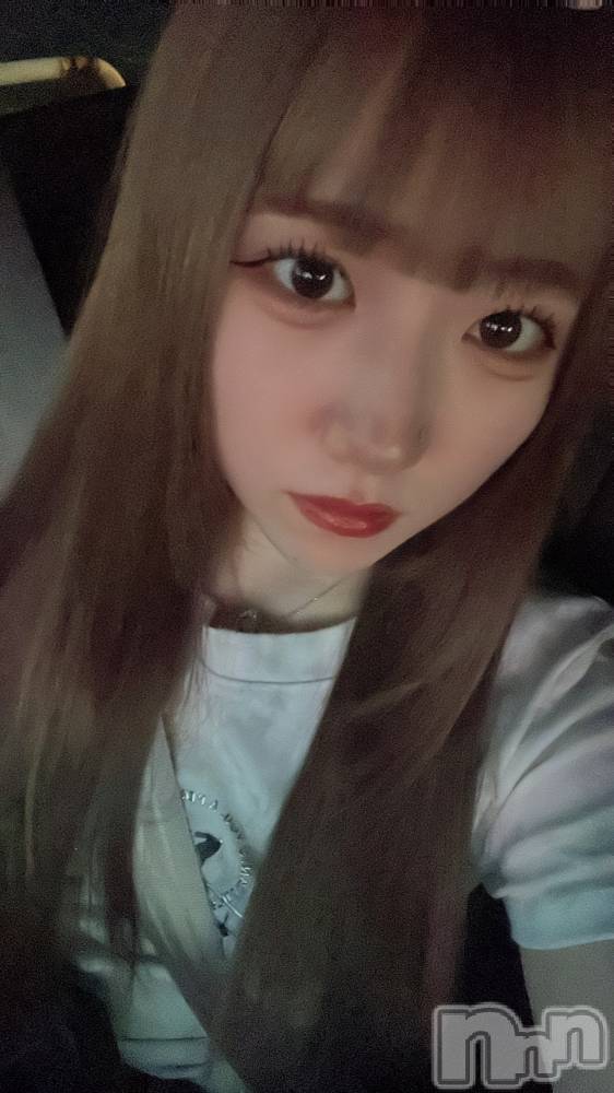 ʥå륺С󥻥ץȥե ˤޤ(󥻥ץȥե˥ޥ륭奦ǥ) 84̥֥84 1146ʬΥ֥
