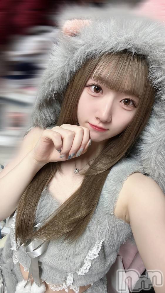 ʥå륺С󥻥ץȥե ˤޤ(󥻥ץȥե˥ޥ륭奦ǥ) 84̥֥84 2314ʬΥ֥
