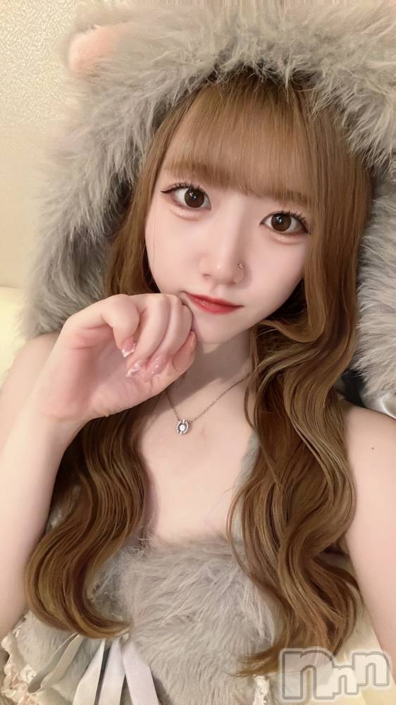ʥå륺С󥻥ץȥե ˤޤ(󥻥ץȥե˥ޥ륭奦ǥ) 95̥֥95 2229ʬΥ֥