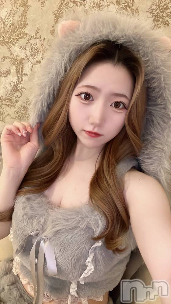 ʥå륺С󥻥ץȥե ˤޤ(󥻥ץȥե˥ޥ륭奦ǥ) 910̥֥910 2329ʬΥ֥