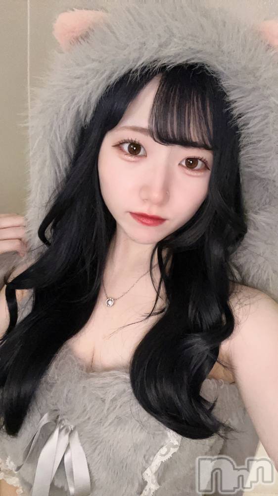ʥå륺С󥻥ץȥե ˤޤ(󥻥ץȥե˥ޥ륭奦ǥ) 919̥֥919 2254ʬΥ֥