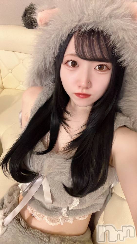 ʥå륺С󥻥ץȥե ˤޤ(󥻥ץȥե˥ޥ륭奦ǥ) 924̥֥924 0241ʬΥ֥