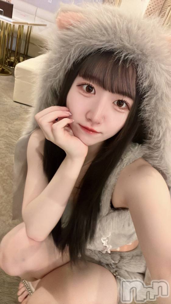 ʥå륺С󥻥ץȥե ˤޤ(󥻥ץȥե˥ޥ륭奦ǥ) 106̥֥106 1417ʬΥ֥