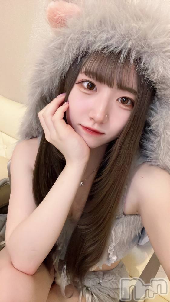 新潟駅前スナック・ガールズバーコンセプトカフェ あにまる宮殿(コンセプトカフェアニマルキュウデン) せらの10月16日写メブログ「10月16日 23時03分のブログ」